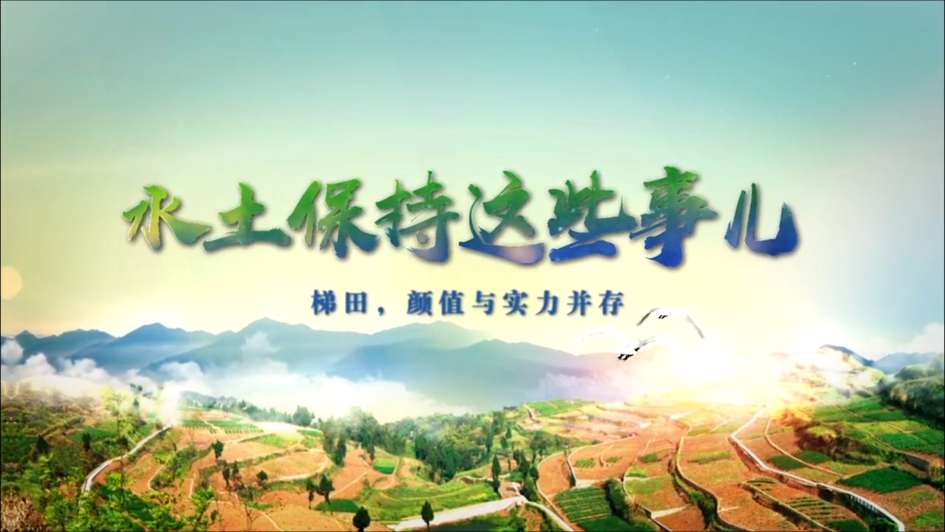 微視頻｜水土保持這些事兒 —— 梯田，顏值與實(shí)力并存