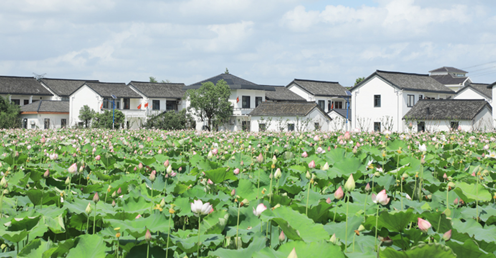 清潔小流域--蓮湖村