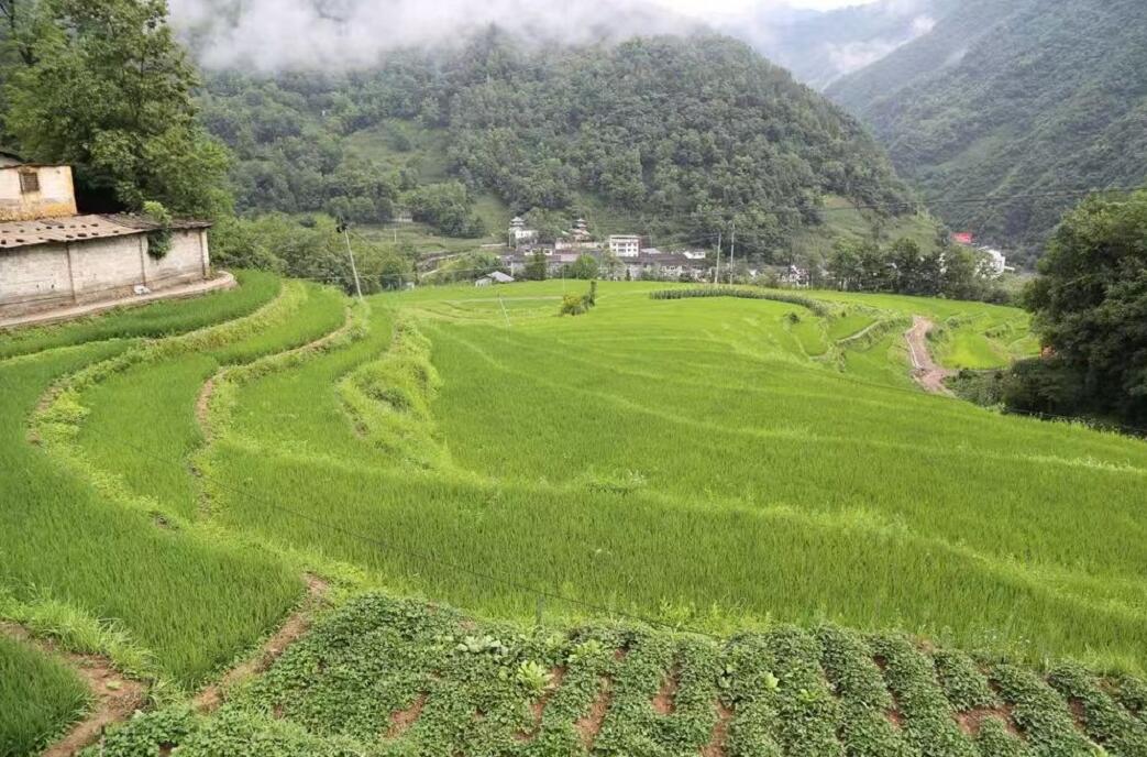 重慶市城口縣水土保持工程建設(shè)以獎(jiǎng)代補(bǔ)試點(diǎn)建設(shè)高標(biāo)準(zhǔn)農(nóng)田