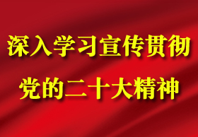 深入學(xué)習(xí)宣傳貫徹黨的二十大精神