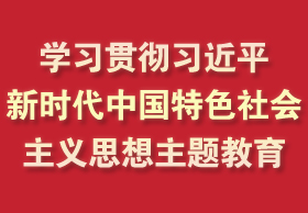 學(xué)習(xí)貫徹習(xí)近平新時(shí)代中國(guó)特色社會(huì)主義思想主題教育