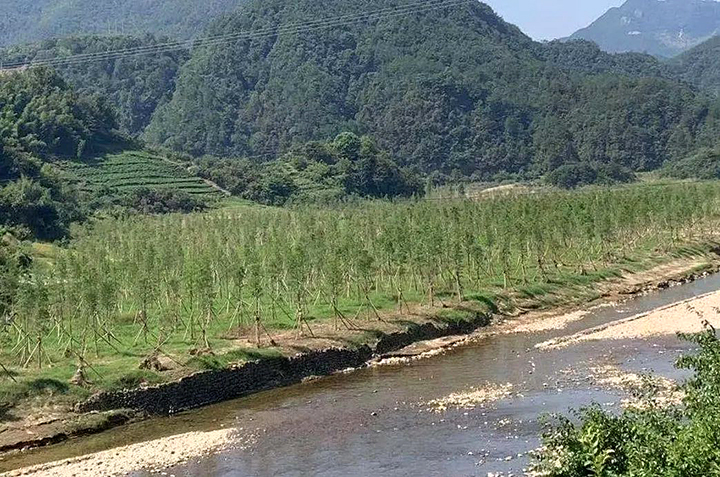 03新昌縣長詔水庫水源地水土流失治理前后對比s.jpg
