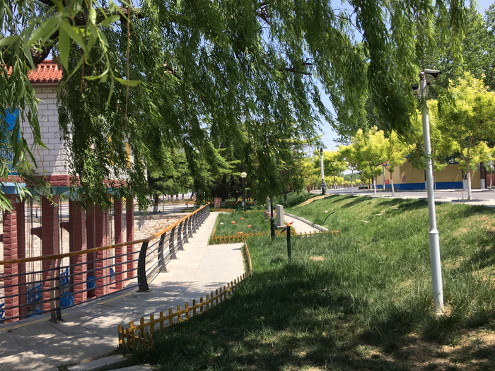 高青河務(wù)局劉春家引黃閘工程綠化.jpg