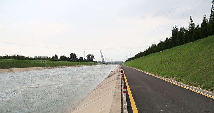 02邢臺(tái)管理處渠道沿線綠化 (3)s.jpg