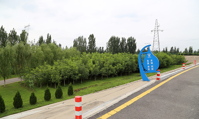 09新樂(lè)管理處沙河（北）渠道沿線綠化s.jpg