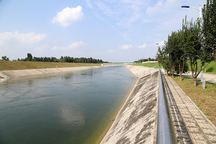 11定州管理處渠道沿線綠化s.jpg