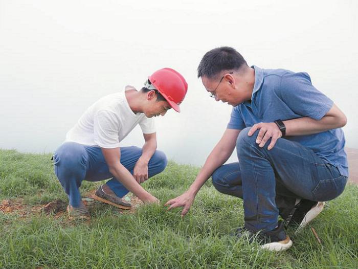 工作人員查看植被生長情況。.JPG
