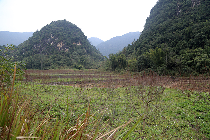 06田陽區(qū)新洞村坡耕地水土流失綜合治理試點(diǎn)工程1s.jpg