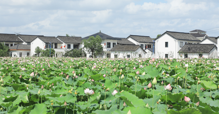 蓮湖村照片.JPG