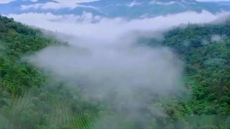 廢棄礦山水土流失治理成效.png