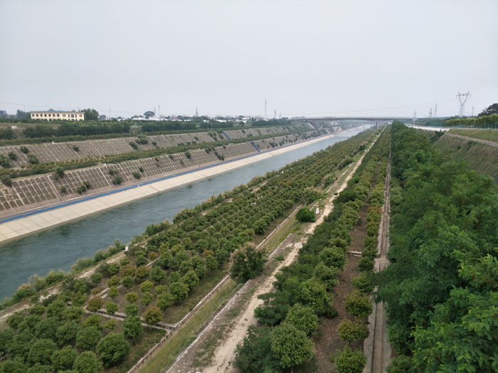 渠道沿線綠化.jpg