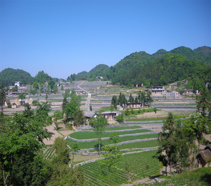 1綠竹小流域坡耕地綜合配套路、溝、凼、池配套體系建設(shè).jpg