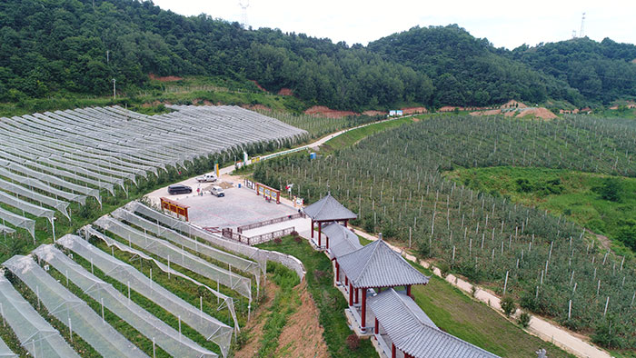 4果品示范種植推廣區(qū).jpg