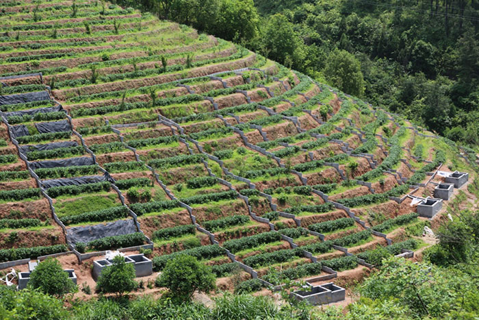 2徑流小區(qū).jpg