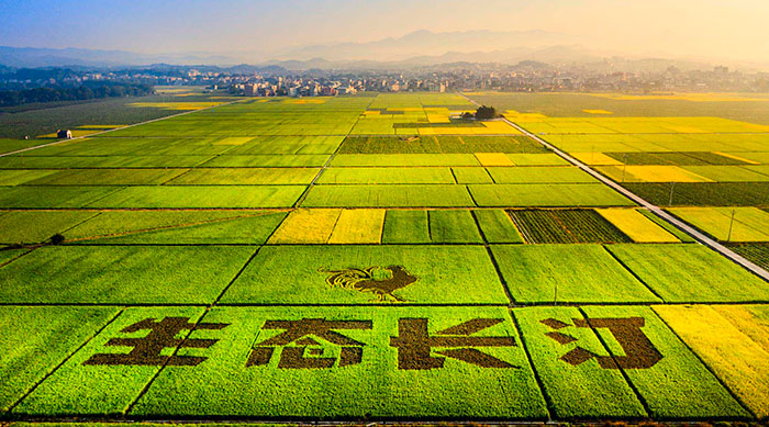 1生態(tài)長汀金秋時節(jié).jpg