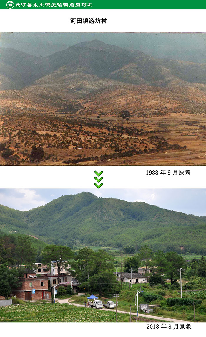 5河田游坊治理對比.jpg
