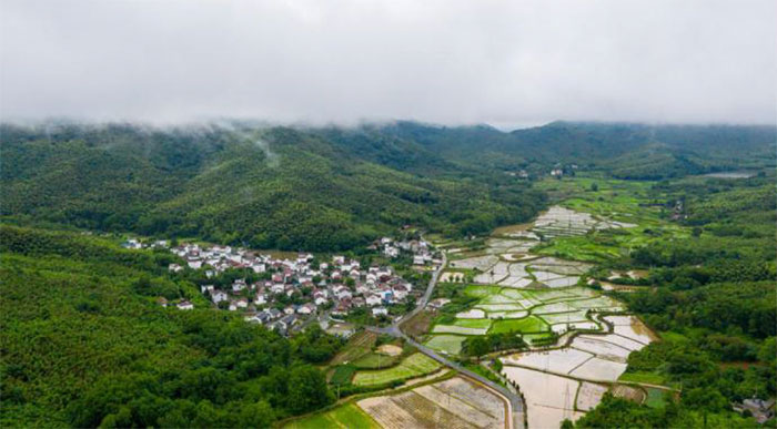 6峨山鎮(zhèn)東島村.jpg