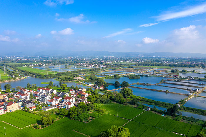 3龍山街道后洋村.jpg