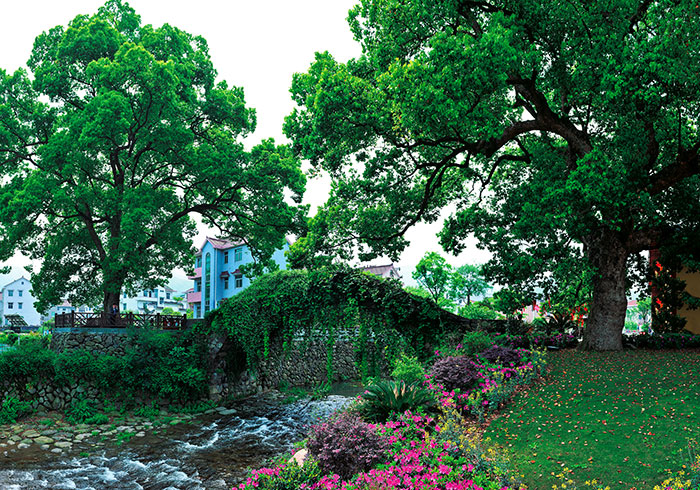 5生態(tài)清潔典范環(huán)溪村.jpg
