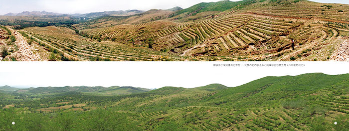 綠染川州入畫屏2.jpg