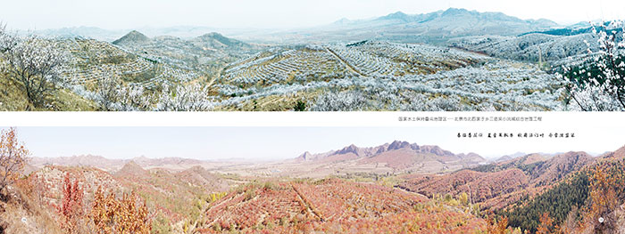 綠染川州入畫屏4.jpg