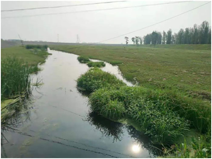 白登河濕地.jpg