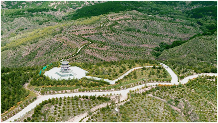 大泉山小流域水土保持綜合治理工程.jpg