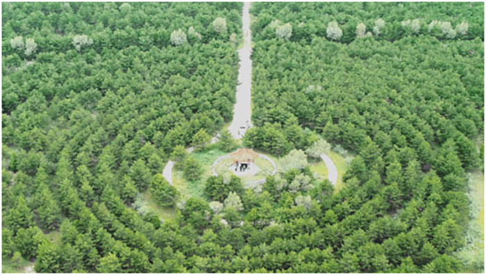 致富山小流域水土保持綜合治理工程.jpg