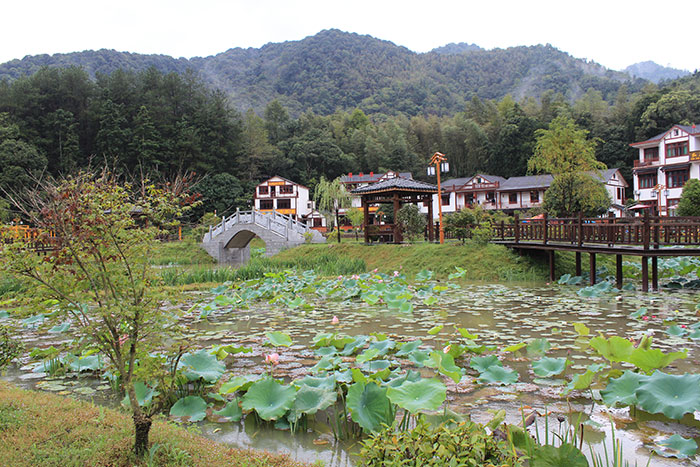 村內(nèi)-(1).jpg