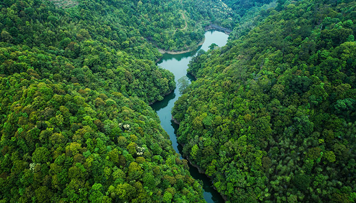 2綠水青山.jpg