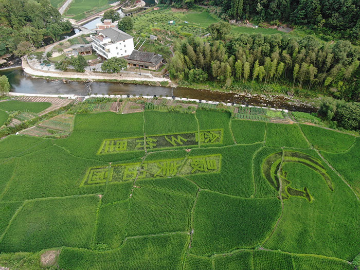 1美麗田園.jpg
