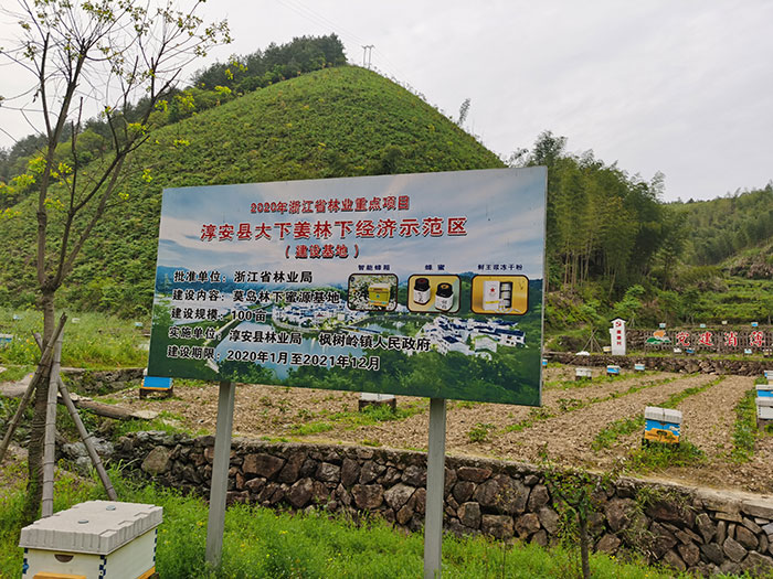 8生態(tài)經濟-蜜源經濟.jpg