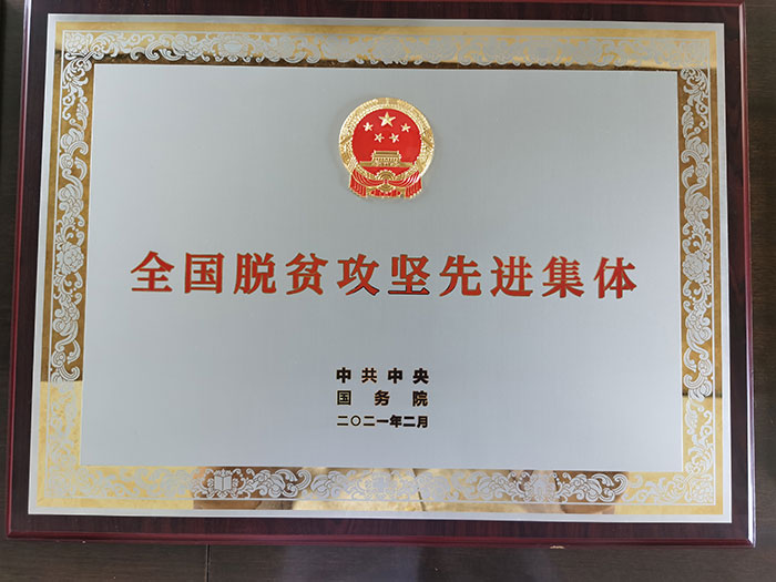 榮譽1.jpg