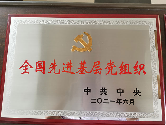 榮譽2.jpg