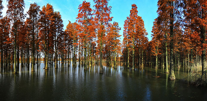 4青西公園.jpg