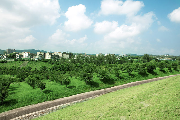 6、右岸老虎溝施工場地恢復(fù).jpg