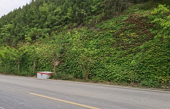7場(chǎng)內(nèi)公路垂掛邊坡.jpg