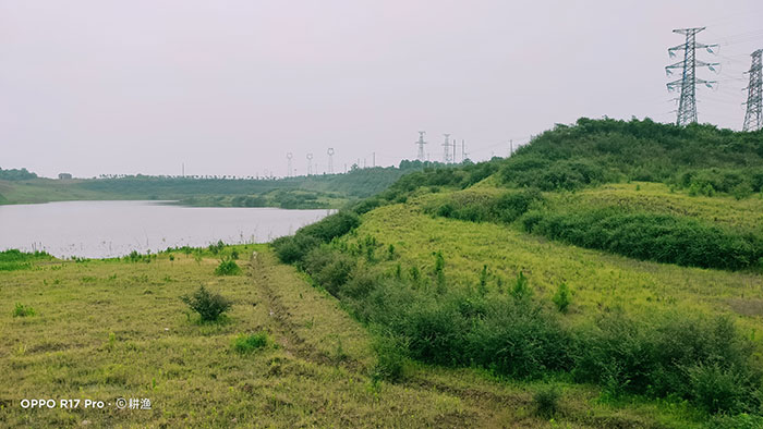 5取土場山水林田湖草建設(shè).jpg