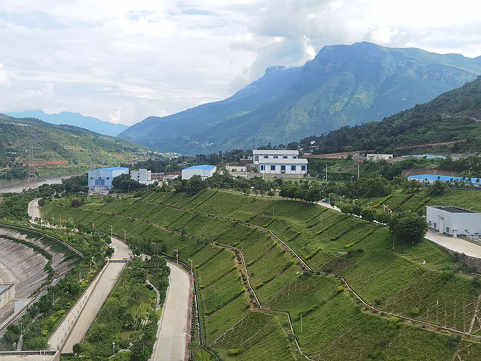 6.龍開口水電站右岸邊坡生態(tài)修復(fù).jpg