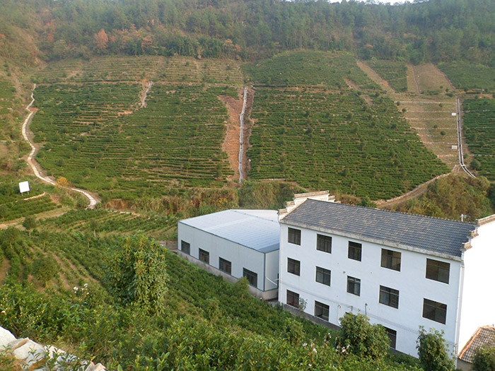 補(bǔ)1茶園梯地水土保持綜合治理.jpg
