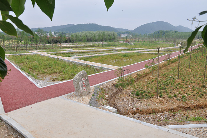 3蘄春縣龍泉庵小流域生態(tài)濕地.jpg