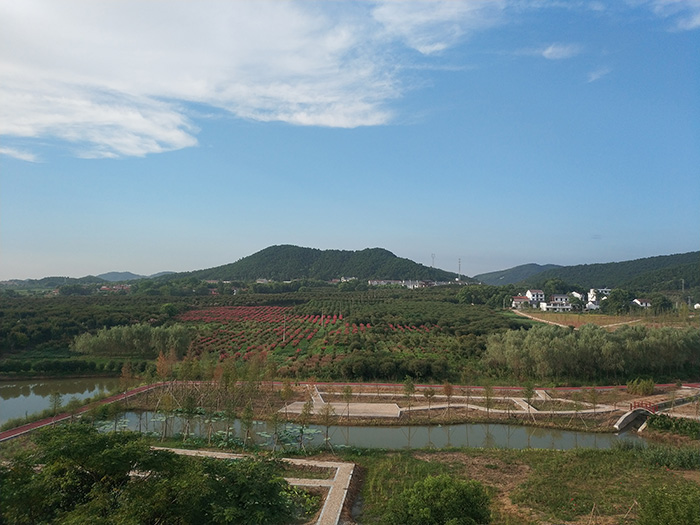 6蘄春縣龍泉庵小流域紫薇園.jpg