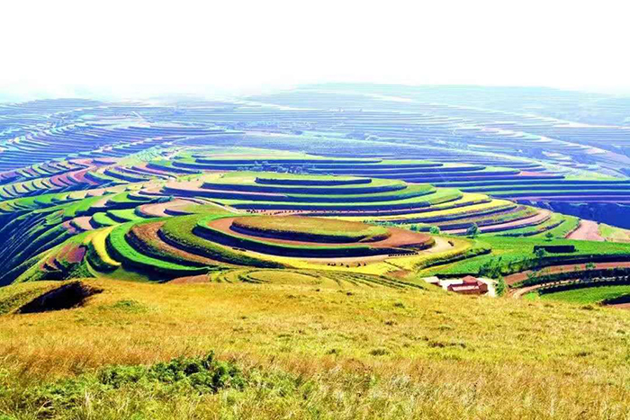 9原州區(qū)寨科鄉(xiāng)灣掌層層梯田環(huán)山繞.jpg