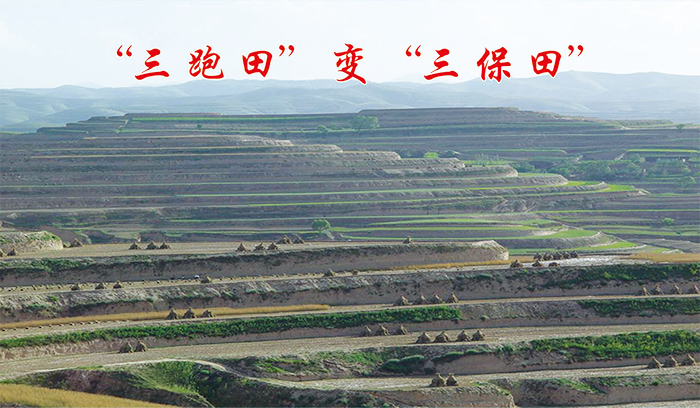 10原州區(qū)寨科鄉(xiāng)灣掌小流域建成的梯田.jpg