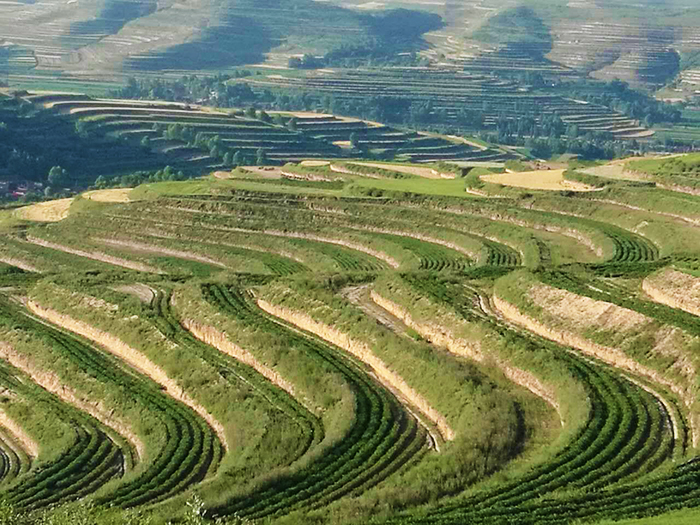 11原州區(qū)張易鎮(zhèn)宋洼坡耕地水土流失治理一角.jpg