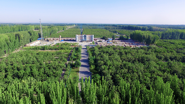 13.2021年阿克蘇地區(qū)溫宿縣柯柯牙鎮(zhèn)柯柯牙工程綠化.jpg