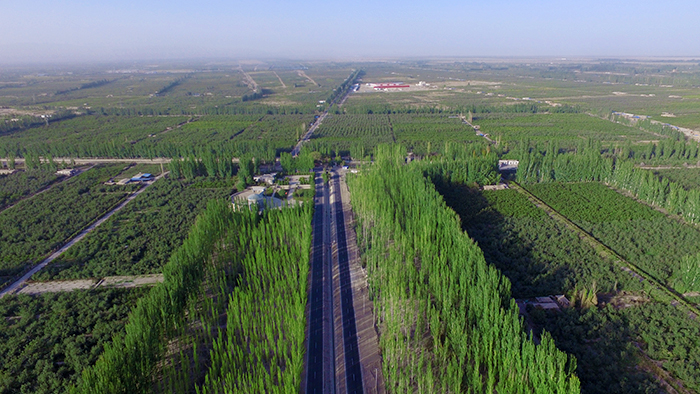 16.2021年阿克蘇地區(qū)溫宿縣柯柯牙鎮(zhèn)柯柯牙工程綠化2.jpg