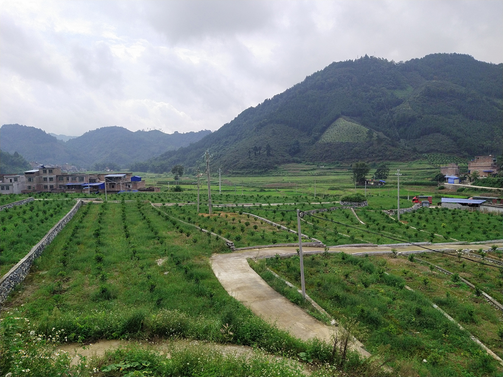 田陽區(qū)照片.jpg