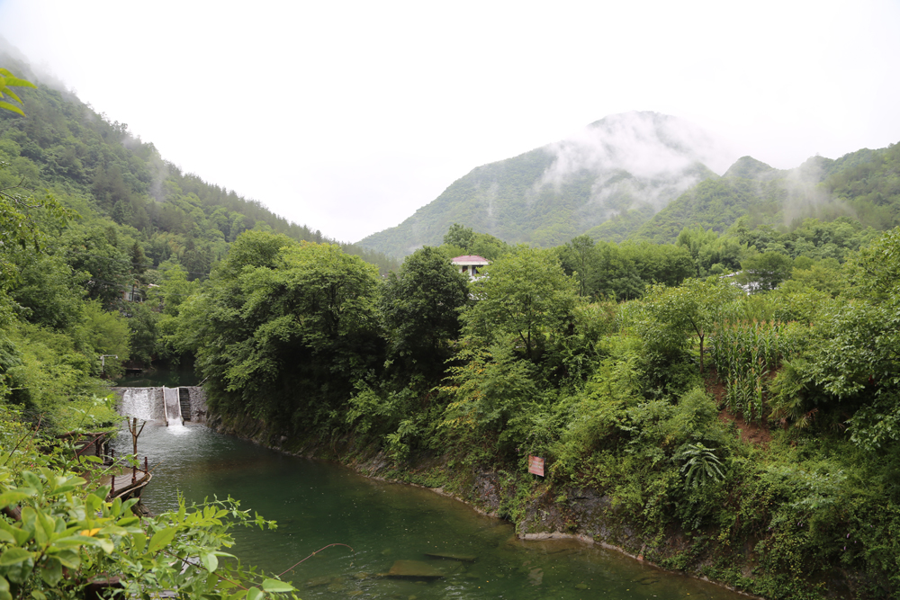 以獎代補(bǔ)項目河道整治.JPG