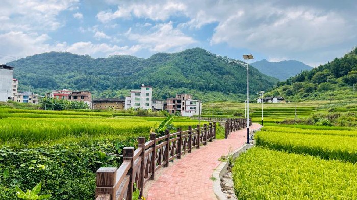 圖片1.jpg